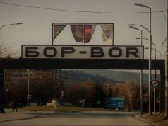 BOGAT PROGRAM ZA SVE GENERACIJE: U Boru počinju tradicionalne Oktobarske svečanosti!