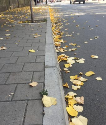 ISKORISTITE SUNČAN DAN, OD ČETVRTKA OBRT: U sredu i do 25 stepeni, a onda stižu zahlađenje i pljuskovi! lišće vreme