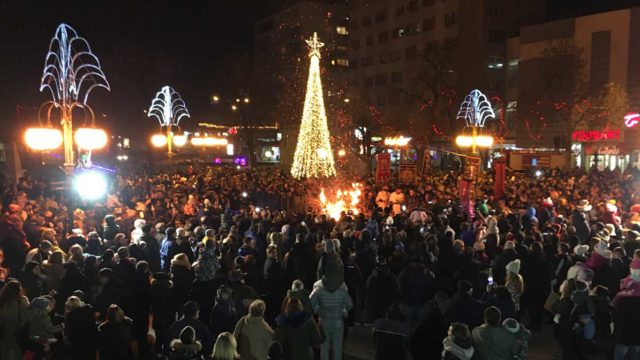 Nalaganje badnjaka u Zaječaru