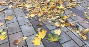 VREMENSKA PROGNOZA ZA NAREDNE DANE: Očekuje nas pravo Miholjsko leto uz sunce i toplije vreme, ali i opasnost od suše! Lišće, jesen, novembar, vreme