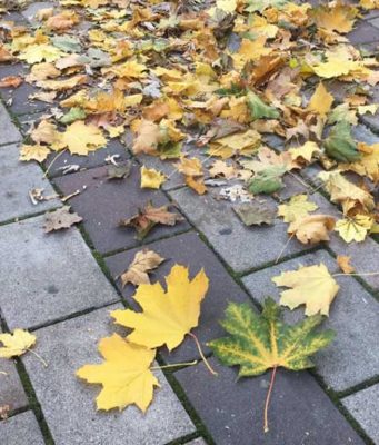 VREMENSKA PROGNOZA ZA NAREDNE DANE: Očekuje nas pravo Miholjsko leto uz sunce i toplije vreme, ali i opasnost od suše! Lišće, jesen, novembar, vreme