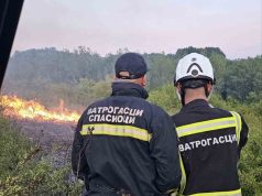 POŽAR NA VELIKOM KRŠU KOD BORA I DALJE AKTIVAN: Vatra zahvatila 50 hektara, gašenje otežavaju nepristupačan teren i jak vetar!